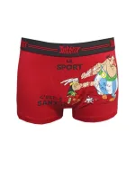 Boxer asterix