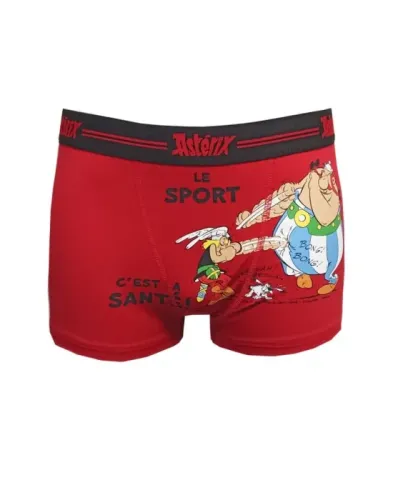 Boxer asterix